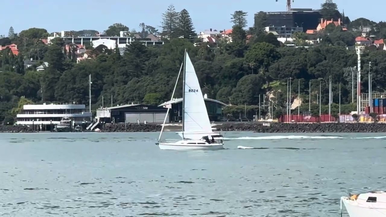 Sailing #auckland #sailing #sailboat