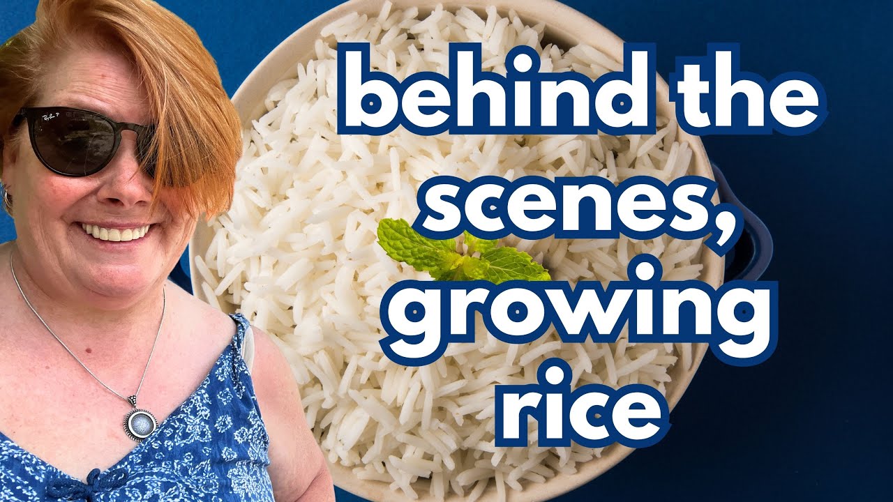 Working with Water to Grow Rice in Illinois - Farm Tour