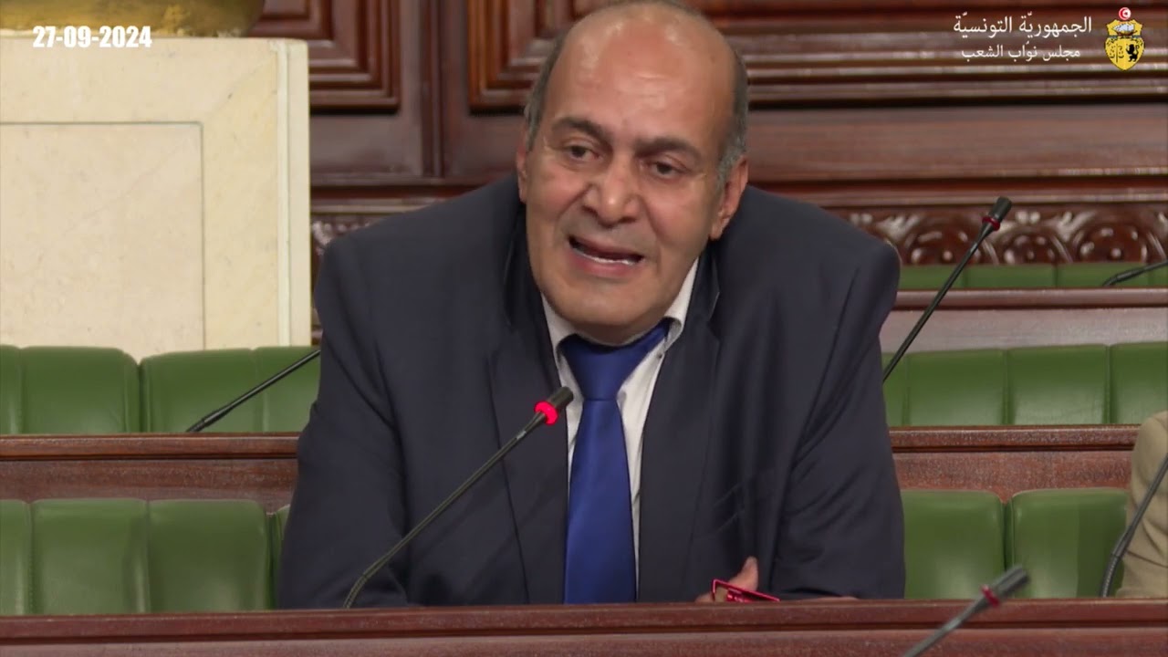 هشام حسني
