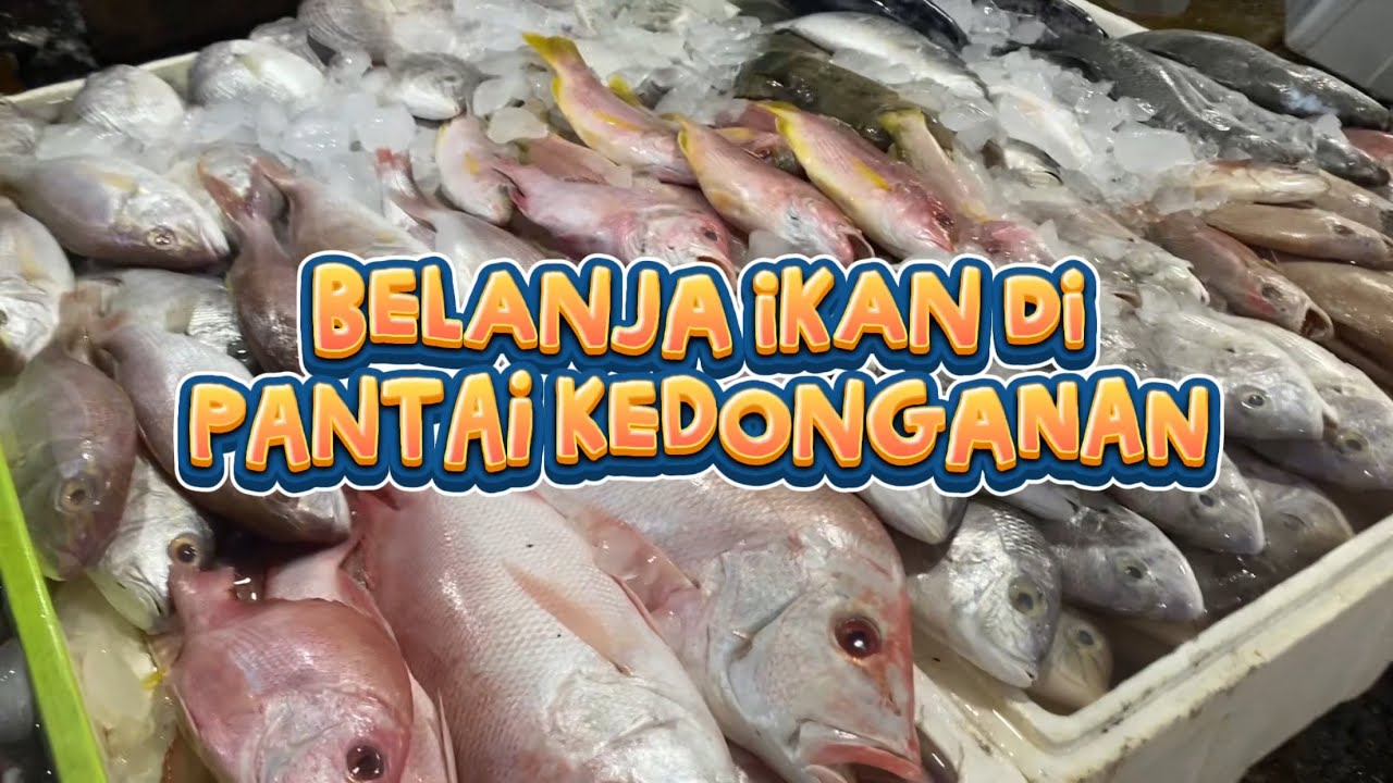 BELANJA SEAFOOD | PANTAI KEDONGANAN BALI 🏝️🐟🦀
