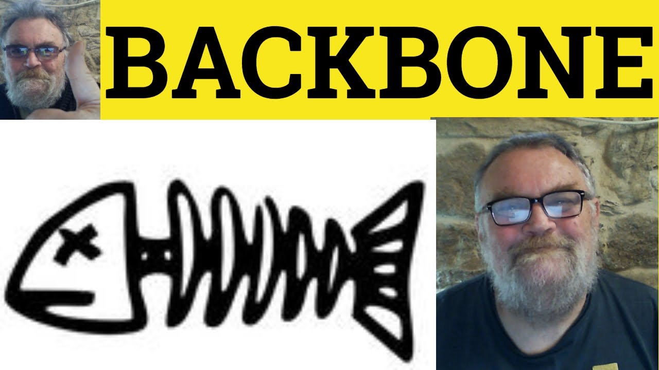 🔵 Backbone Meaning Backbone Examples - Backbone Definition - Anatomy - Backbone