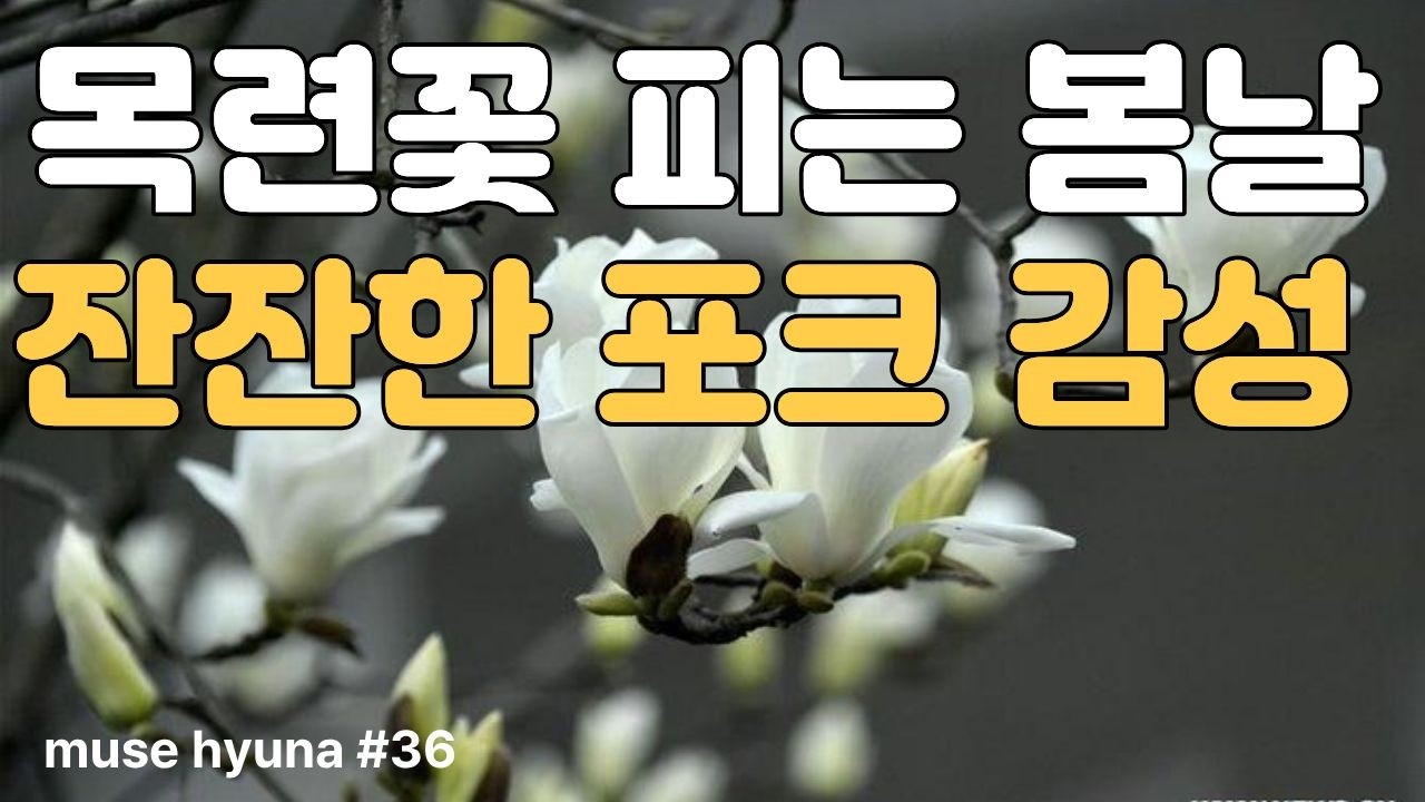[7080 포크송]🎸 양희은 감성을 닮은 🌸 봄날 감성 가득한 포크 음악    #감성음악 #시니어음악 #7080포크 #카페음악