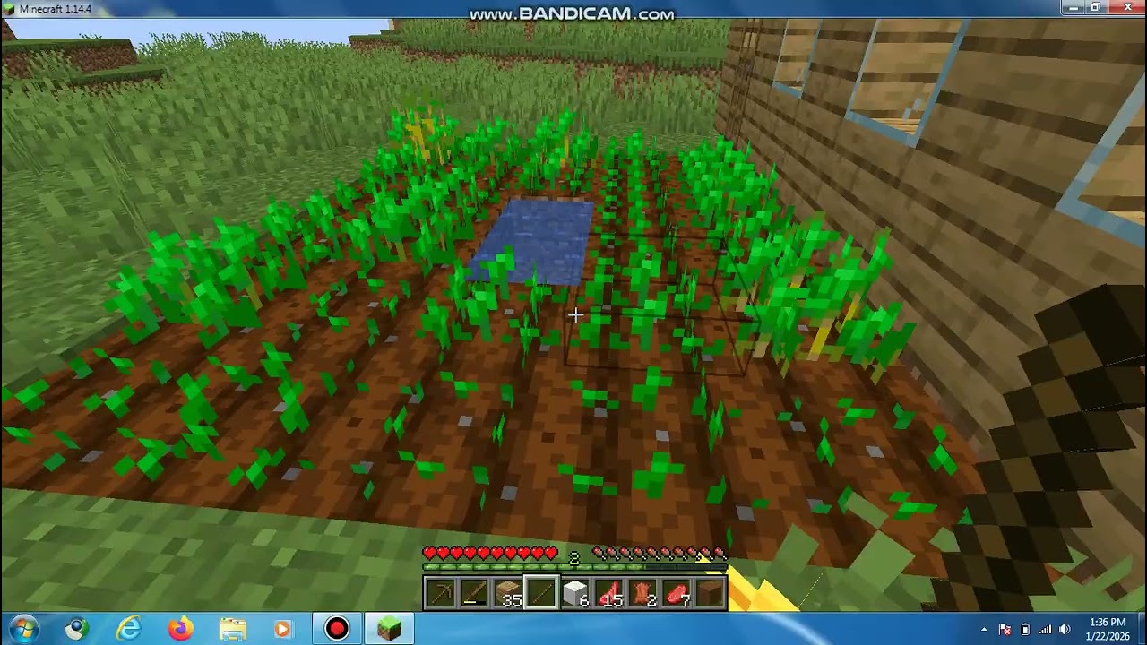 minecraft (3).avi