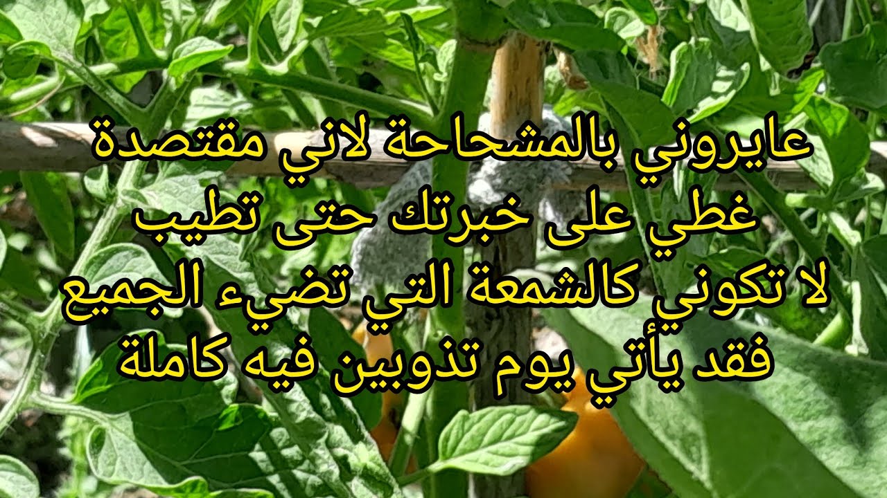 كلام قاسح!! ها علاش لازم تستري بيت خزينك و رزمتك، الناس لا ترحم و ماذا ان كانت الام و الأخت......