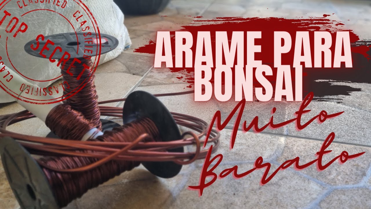 ONDE COMPRAR ARAME PARA BONSAI SUPER BARATO??!  #CRIANDOBONSAI