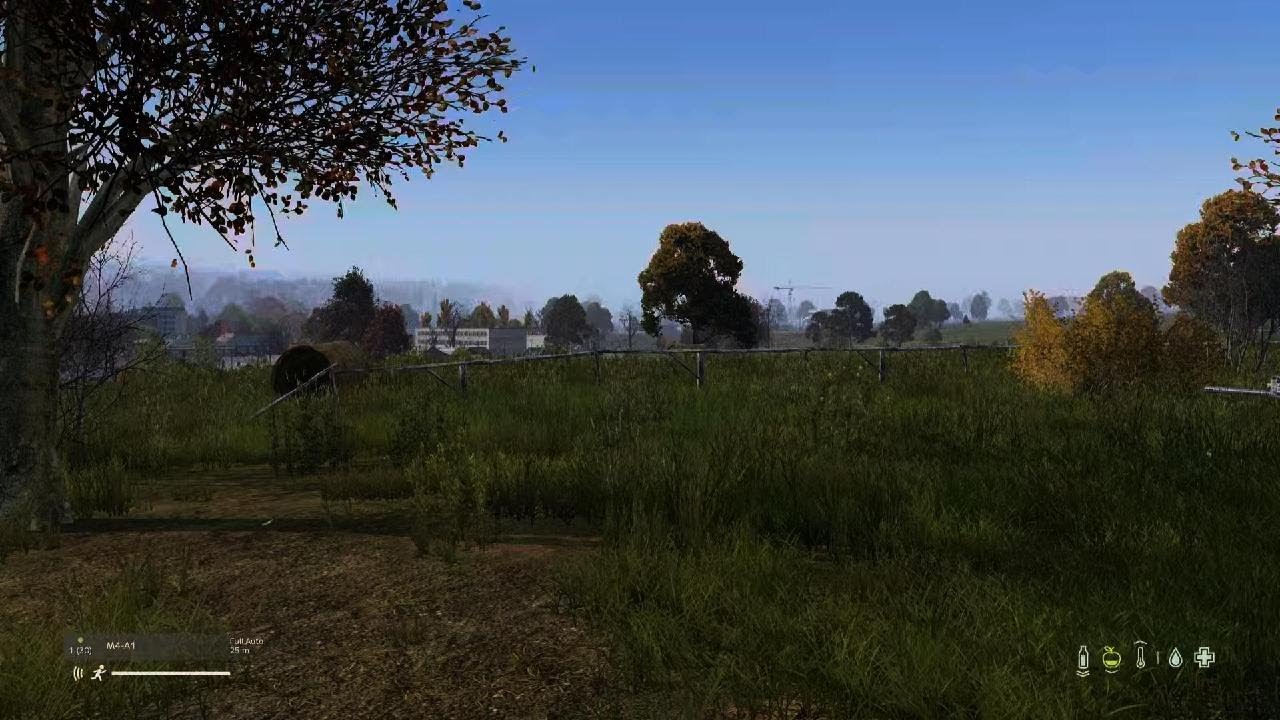 DayZ Killing a camper