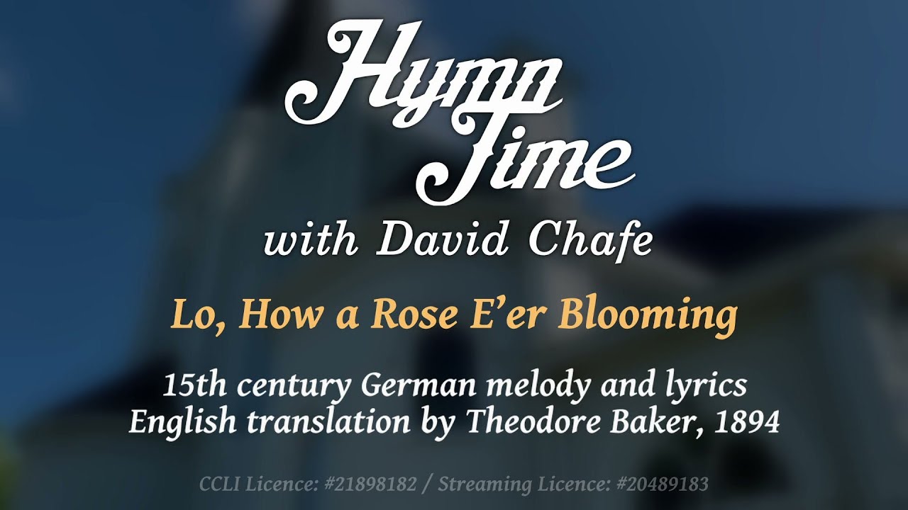 Lo, How a Rose E'er Blooming