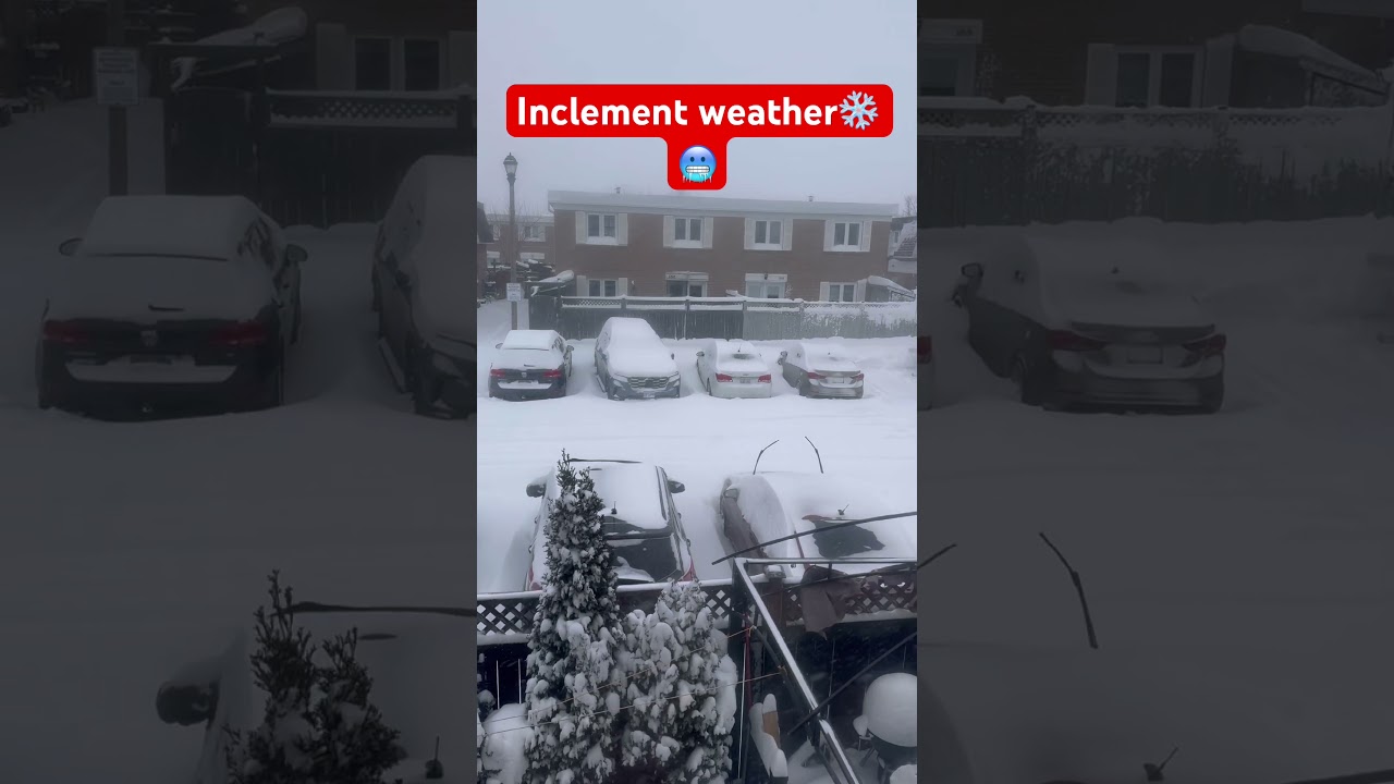 White Winter Morning ❄️ Snow Weather 2026 