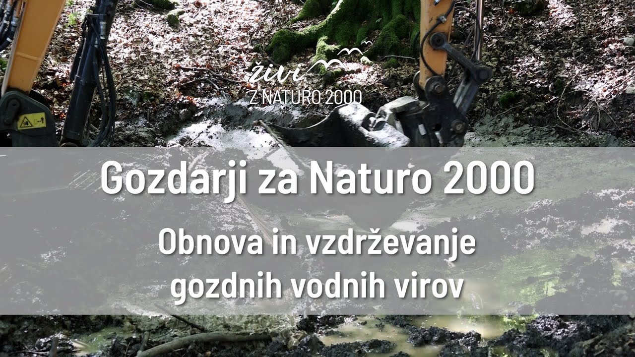 Gozdarji za Naturo 2000: Obnova in vzdrževanje gozdnih vodnih virov