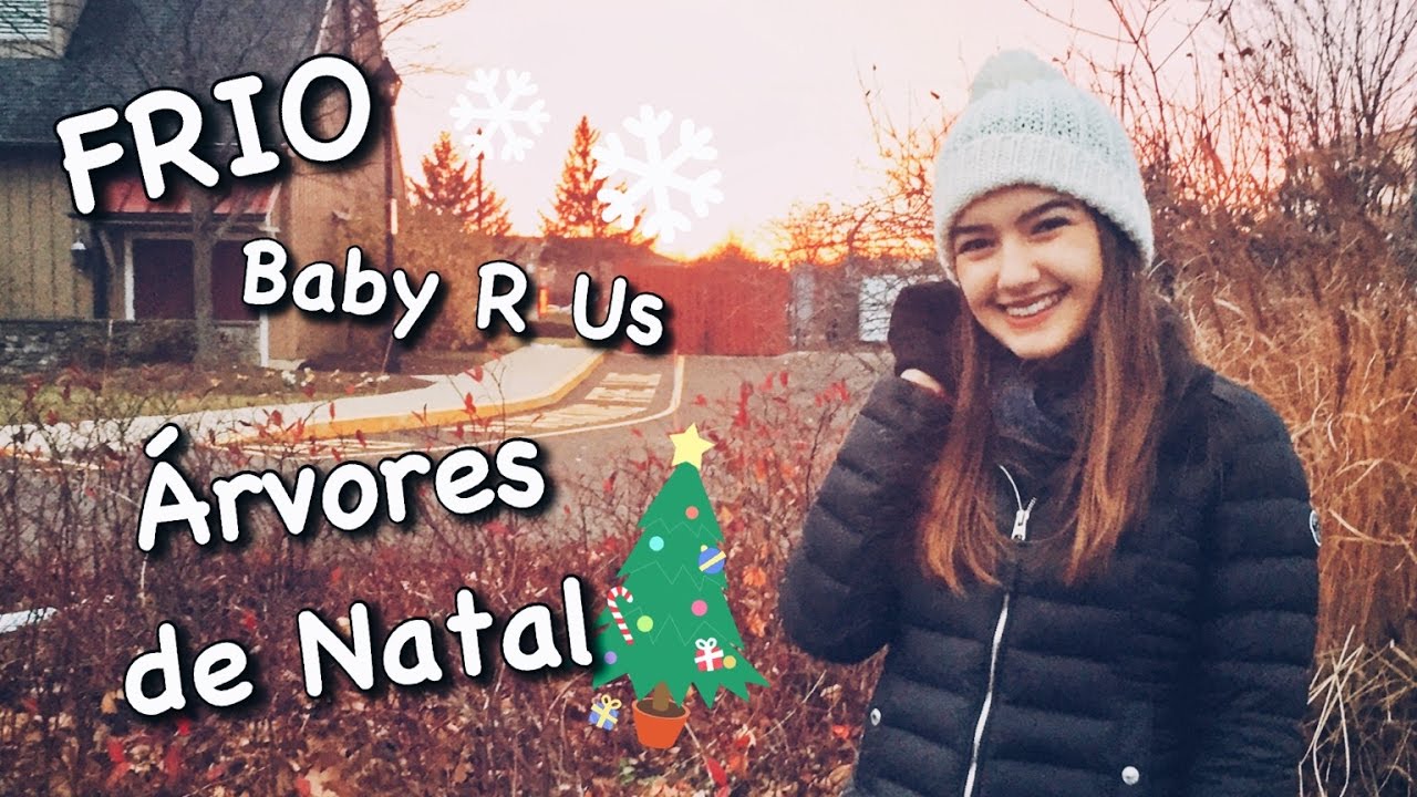 PENNSYLVANIA, CHEGAMOS! - vlogmas 09