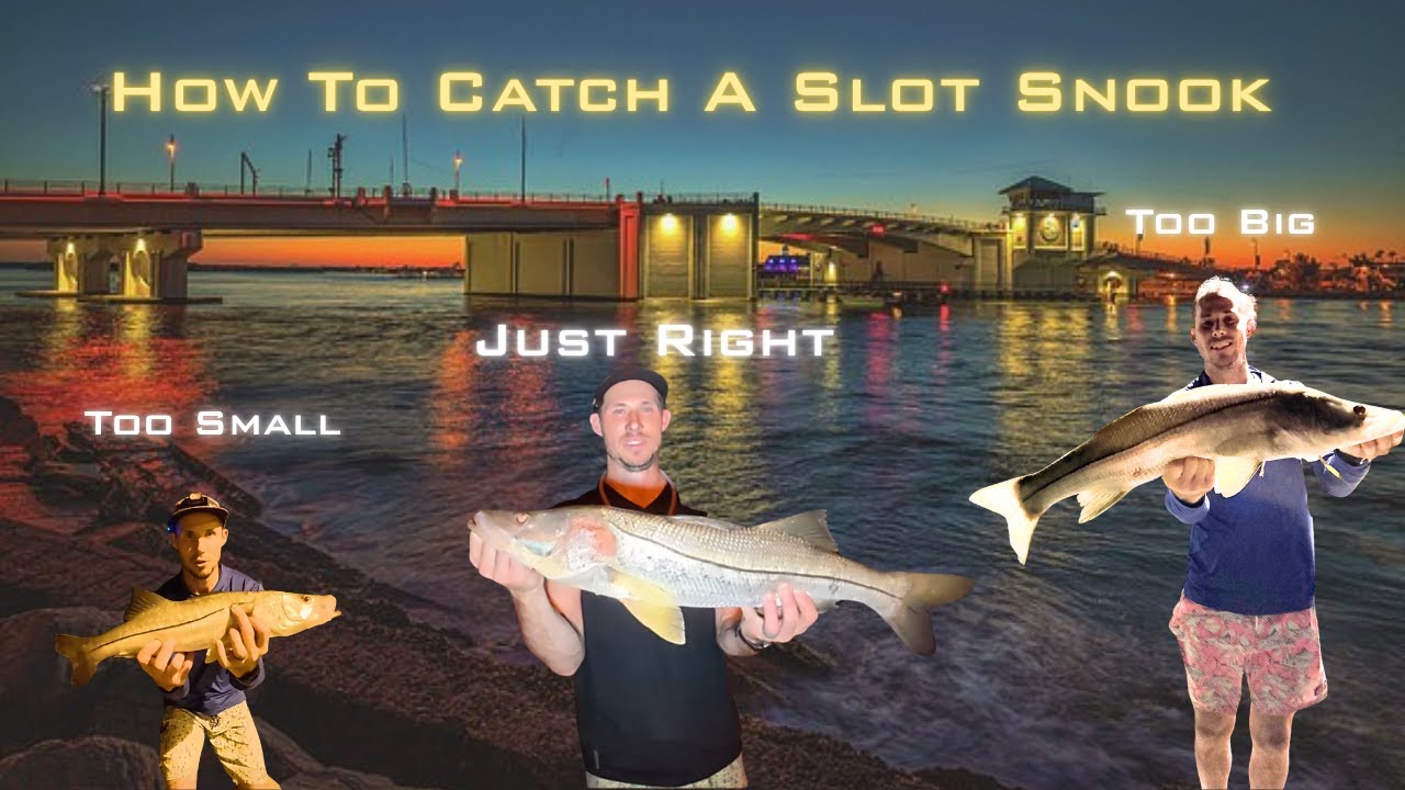 How To Catch A KEEPER SNOOK At The Pass | Step By Step Tutorial | Know The Law First | Madeira Beach
