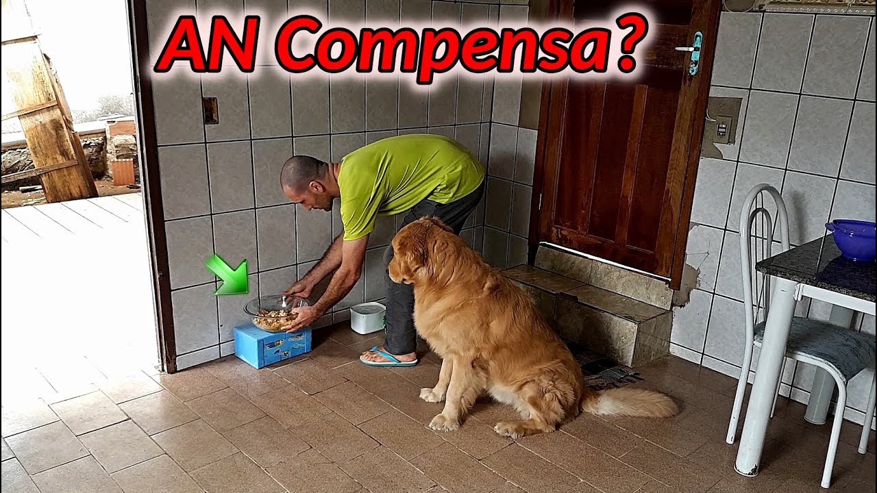 AN..Gastos, pontos positivos e negativos..Vale a pena? #AN #alimentaçãonatural