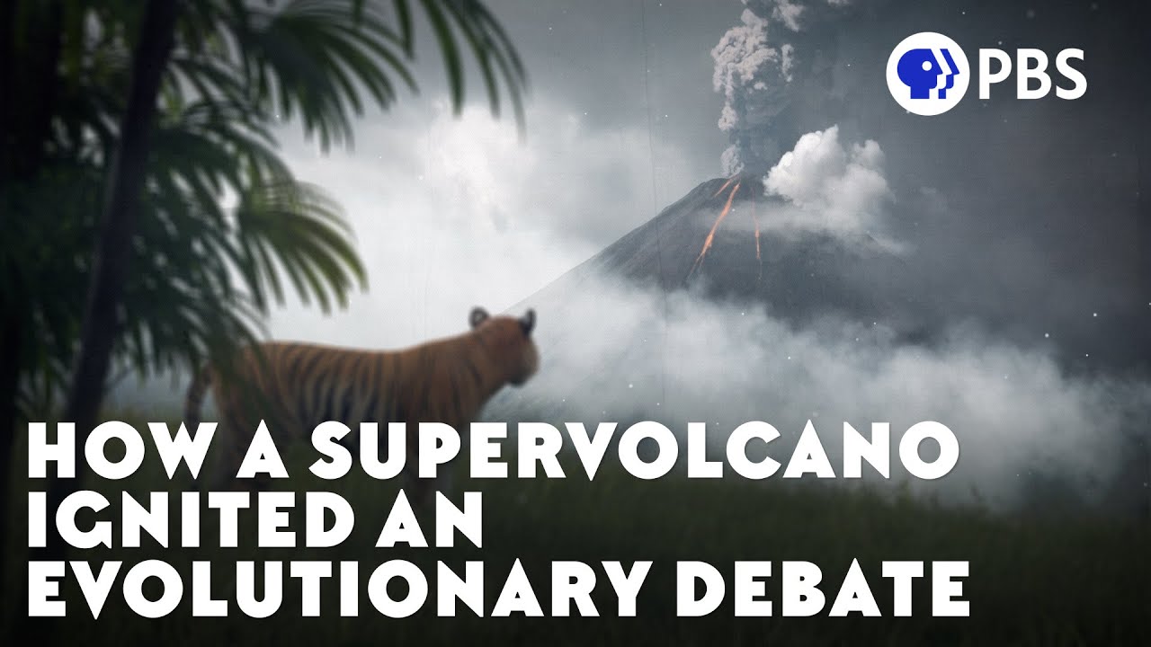 How a Supervolcano Ignited an Evolutionary Debate
