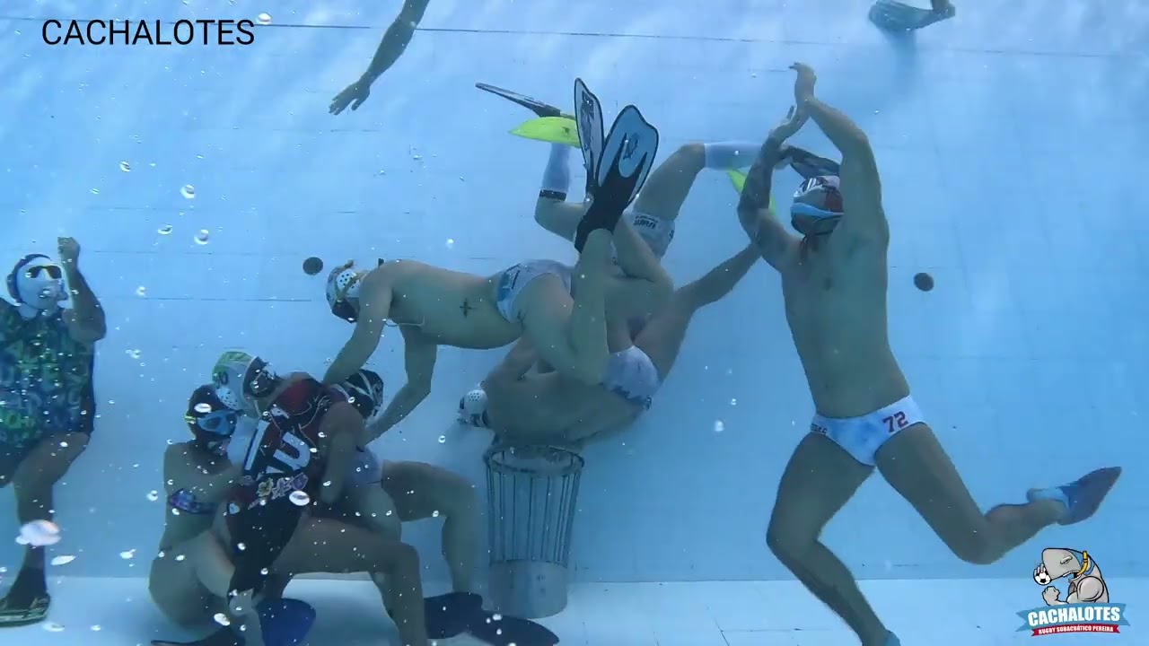 07 de Febrero de 2026 Entrenamiento CACHALOTES
