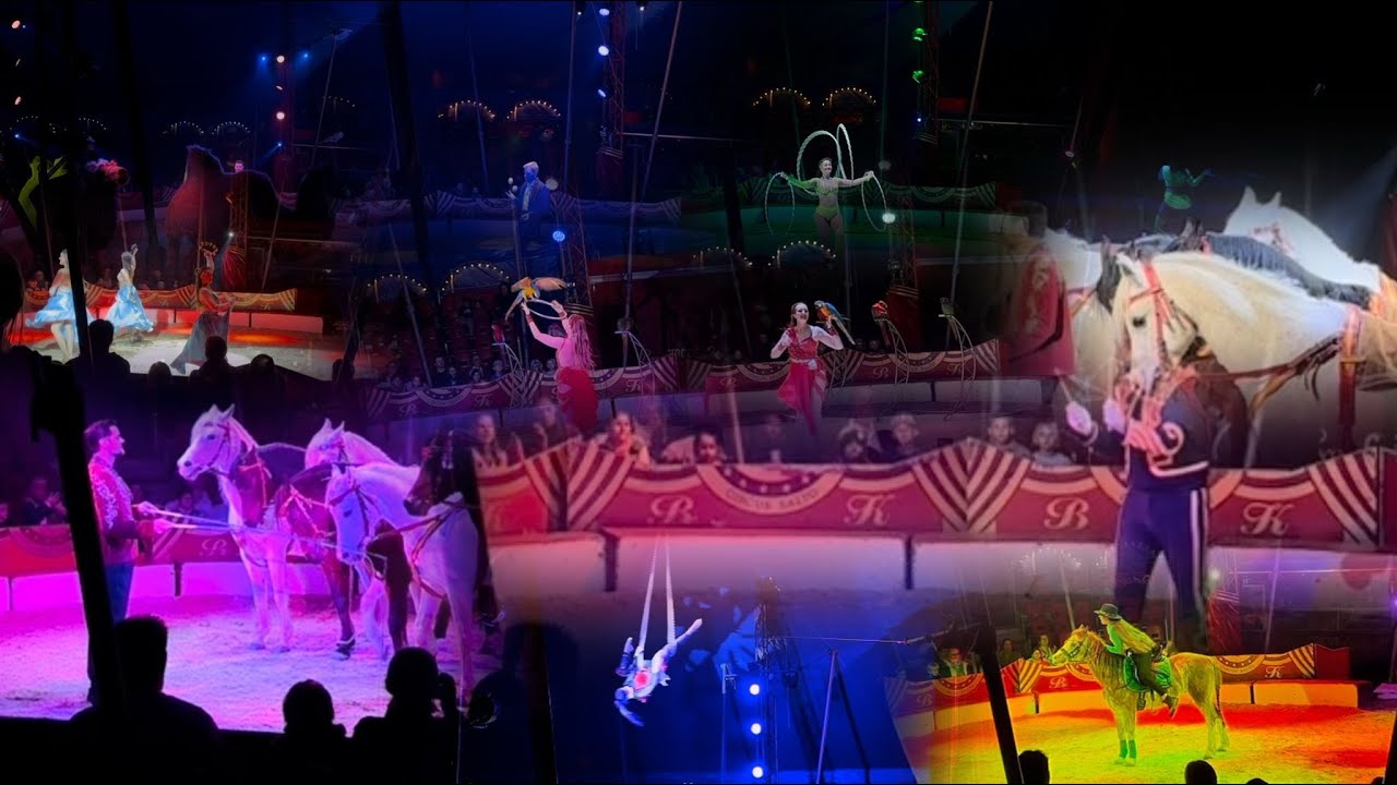 Circus Salto Show 2025