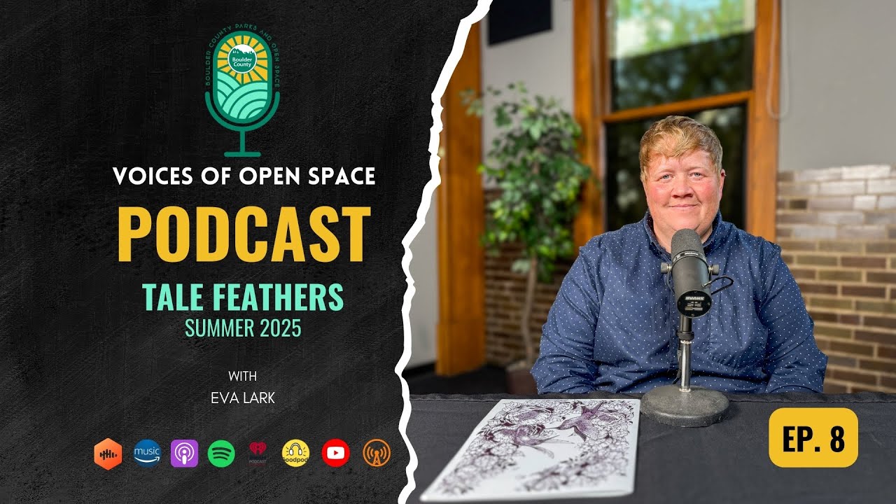 Tale Feathers: Summer 2025