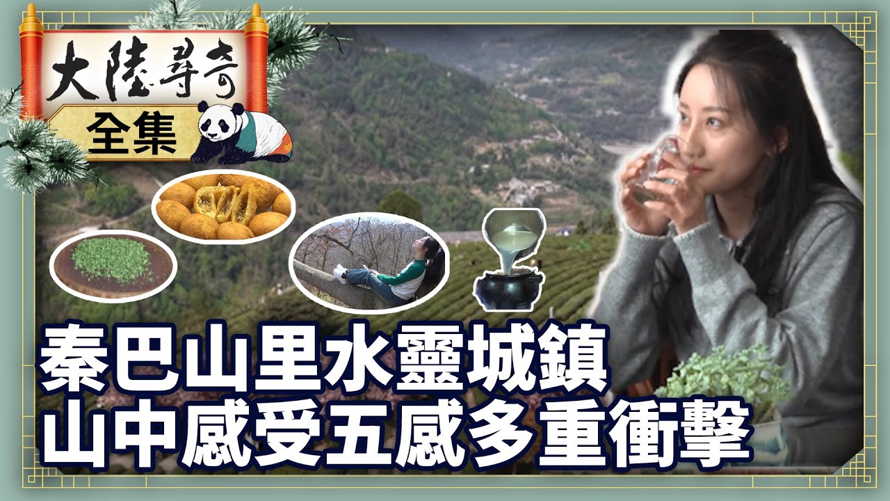 《完整版》秦巴山里水靈城鎮 山中感受五感多重衝擊【‪‪‪‪‪‪@ctvchinatvEP2092】 #大陸尋奇 #陝西 #安康 #渭南 #雲海 #吊罐砂鍋 #採茶 #錢幣 #時辰包子 #太極城