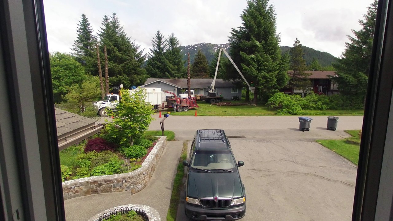 Property Tree Removal Time Lapse (DAY 1)
