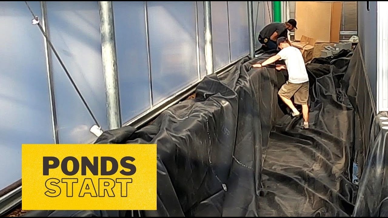 E40 Tiny Home in a Greenhouse | Starting the ponds and pool