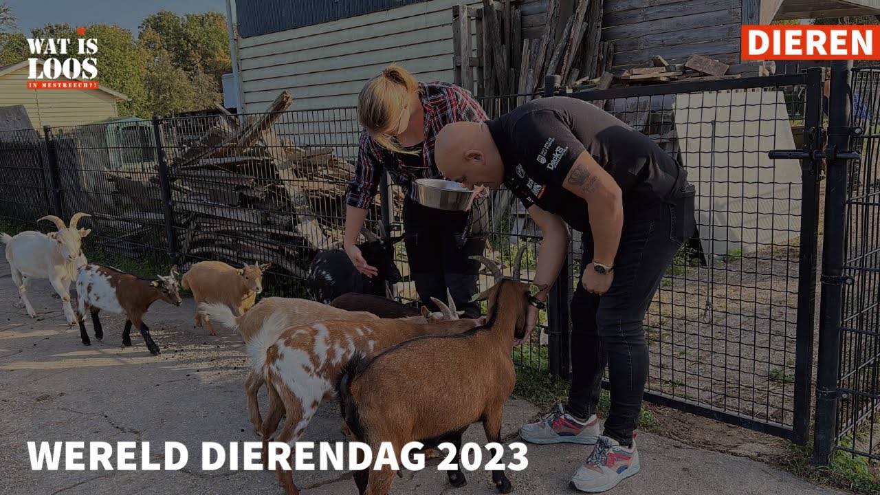 WERELD DIERENDAG 2023