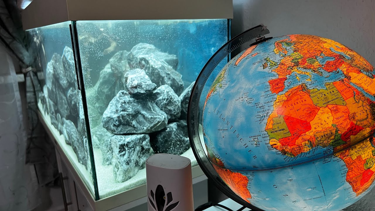 Juwel Aquarium Rio 180