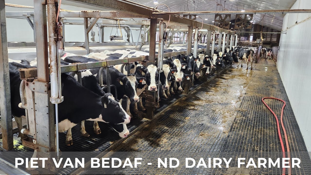 The Milking Parlor (167)