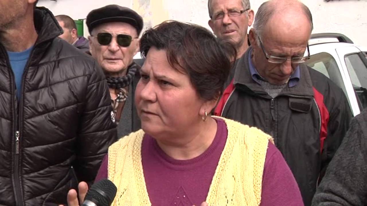 vlore trevllazri pa uj 11  3 2015