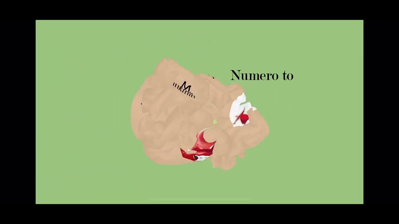 Top 5 Pikmin (sound warning)