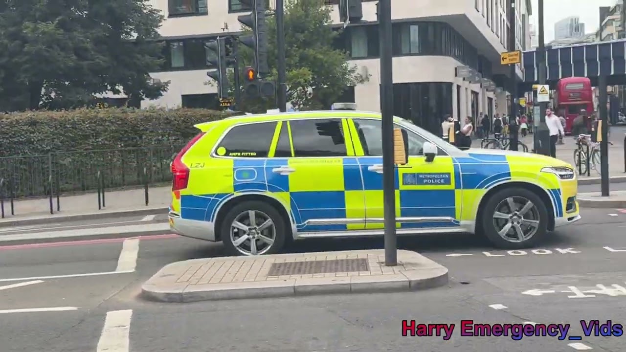 Emergency Services Responding around Trafalgar Square and Tower Hill