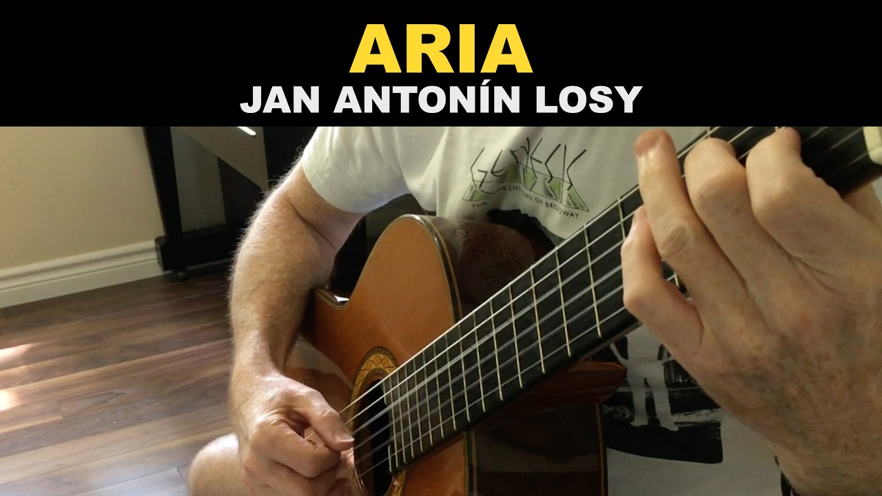 Aria - Jan Antonín Losy - classical guitar piece performed by Dave Milliken