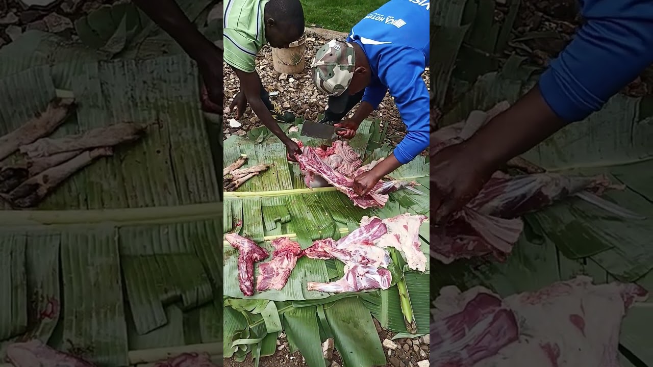 procedure for slaughtering kikuyu goat