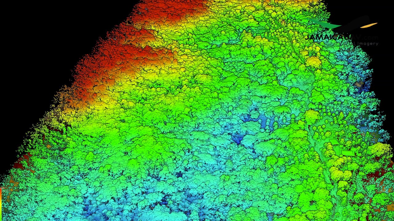 Aerial LiDAR Topographic Survey in extremely tall and dense terrain