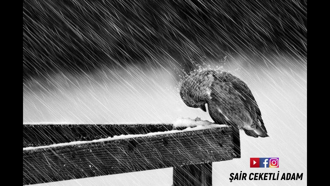 NAZIM HİKMER RAN - BİR FOTOĞRAFA (SERDAR UĞURAÇ)