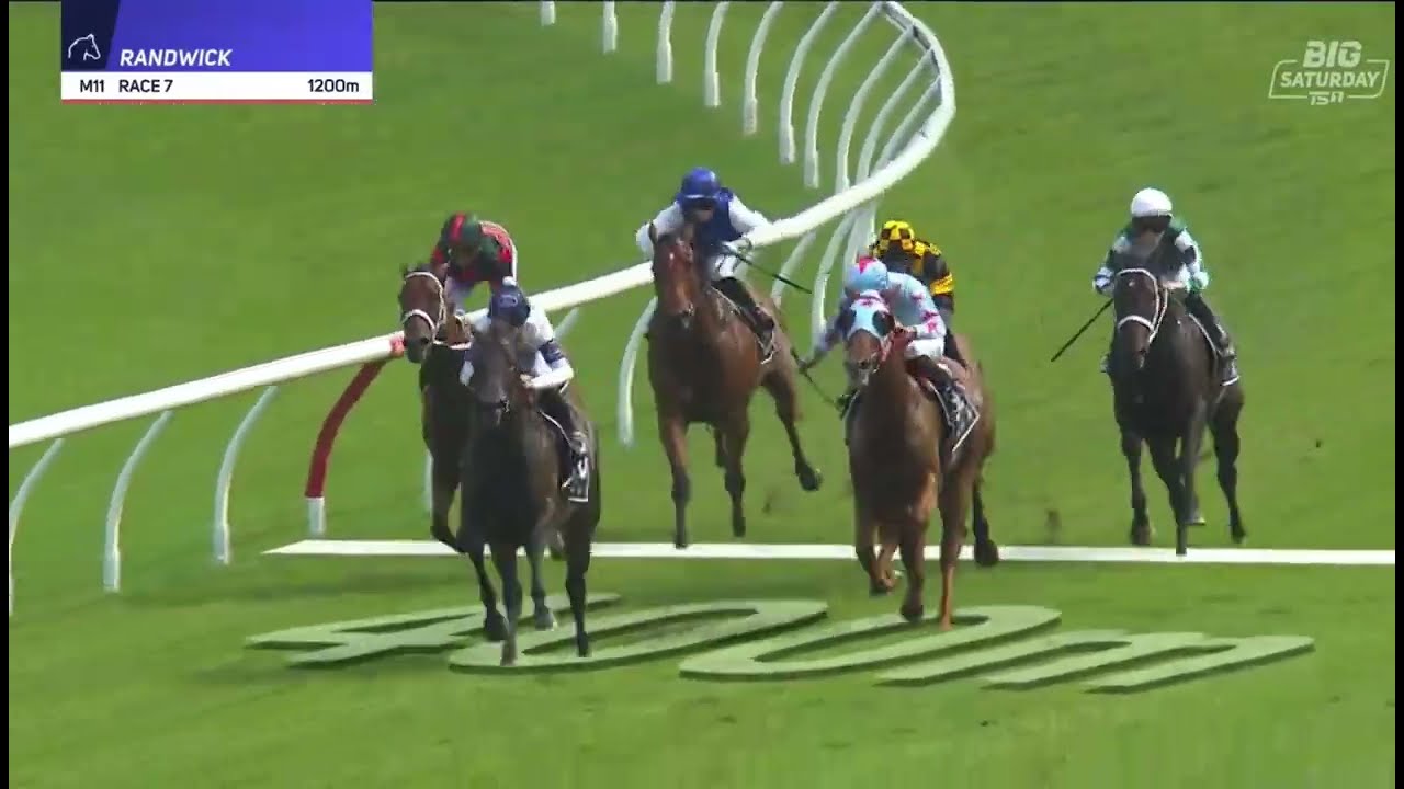 Джолистар возвращается!! | Скачки Expressway Stakes, группа 2, 2026, Рэндвик