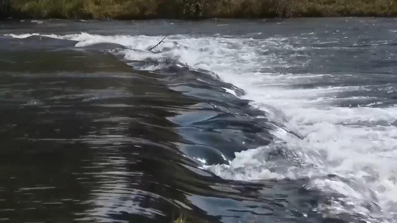 Workers breach key Klamath dams, allowing salmon to swim freely for the first time in a century