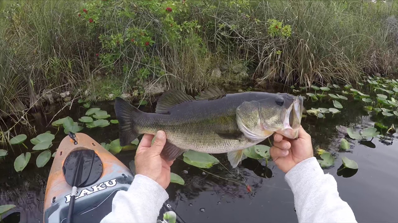 Kayak Fishing the Everglades off of Alligator Alley, Interstate 75