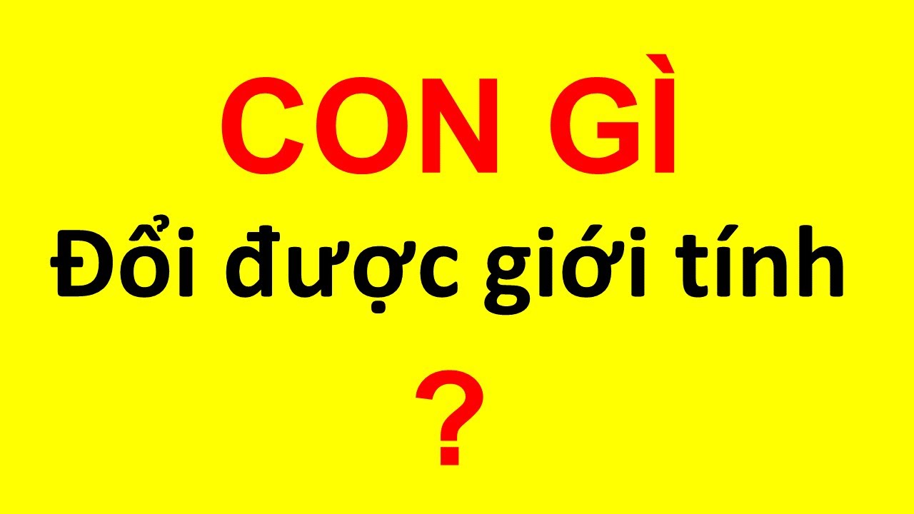 50 Câu Đố Sinh Học Vui: Học Sinh Giỏi Cũng Bị Lừa! – Phần 1