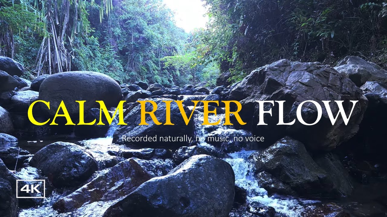 4K Calm River Flow Sounds | Relaxing Nature Ambience, No Music for Sleep & Study