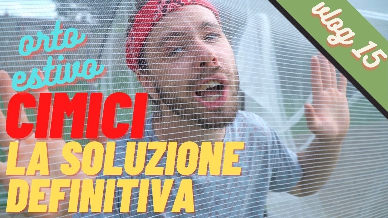 Niente più CIMICI SUI MIEI ORTAGGI [ Vlog 15 ]
