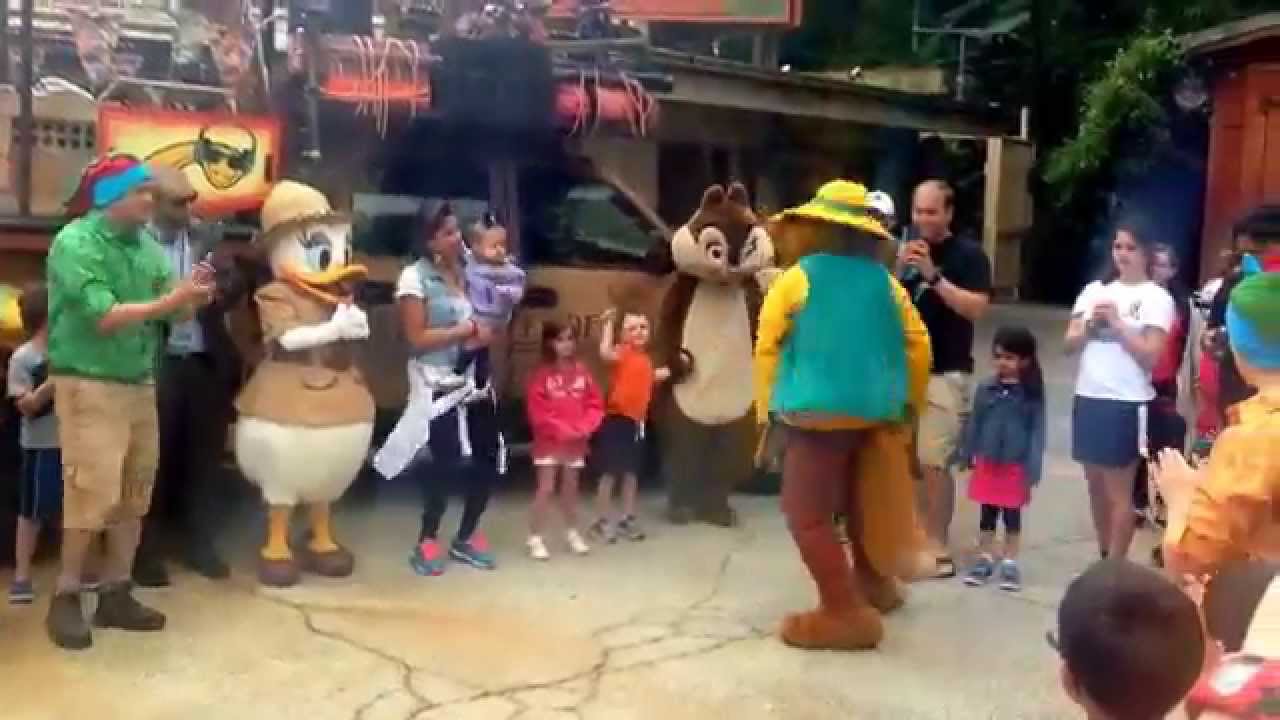 What does Brer Fox say? Animal Kingdom Dinoland