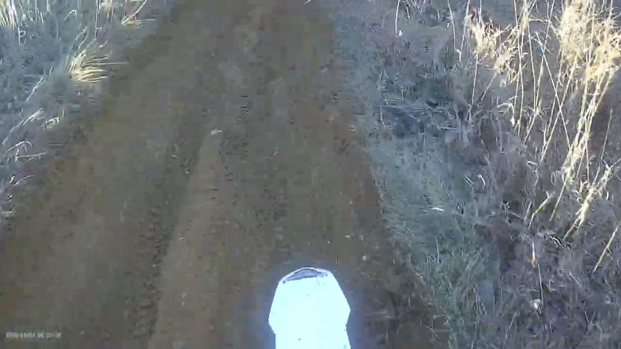 Finger Lake in Missouri (January part 5)
