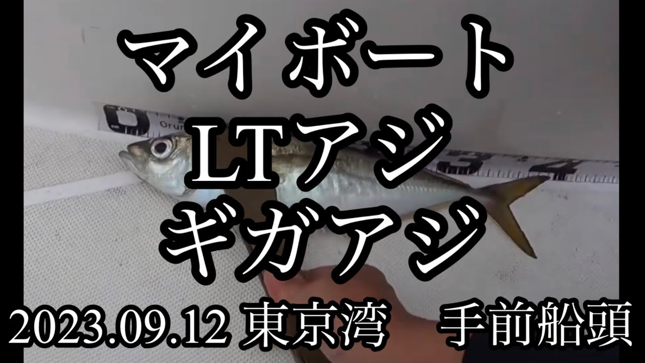 マイボート 東京湾LTアジ 2023.09.12