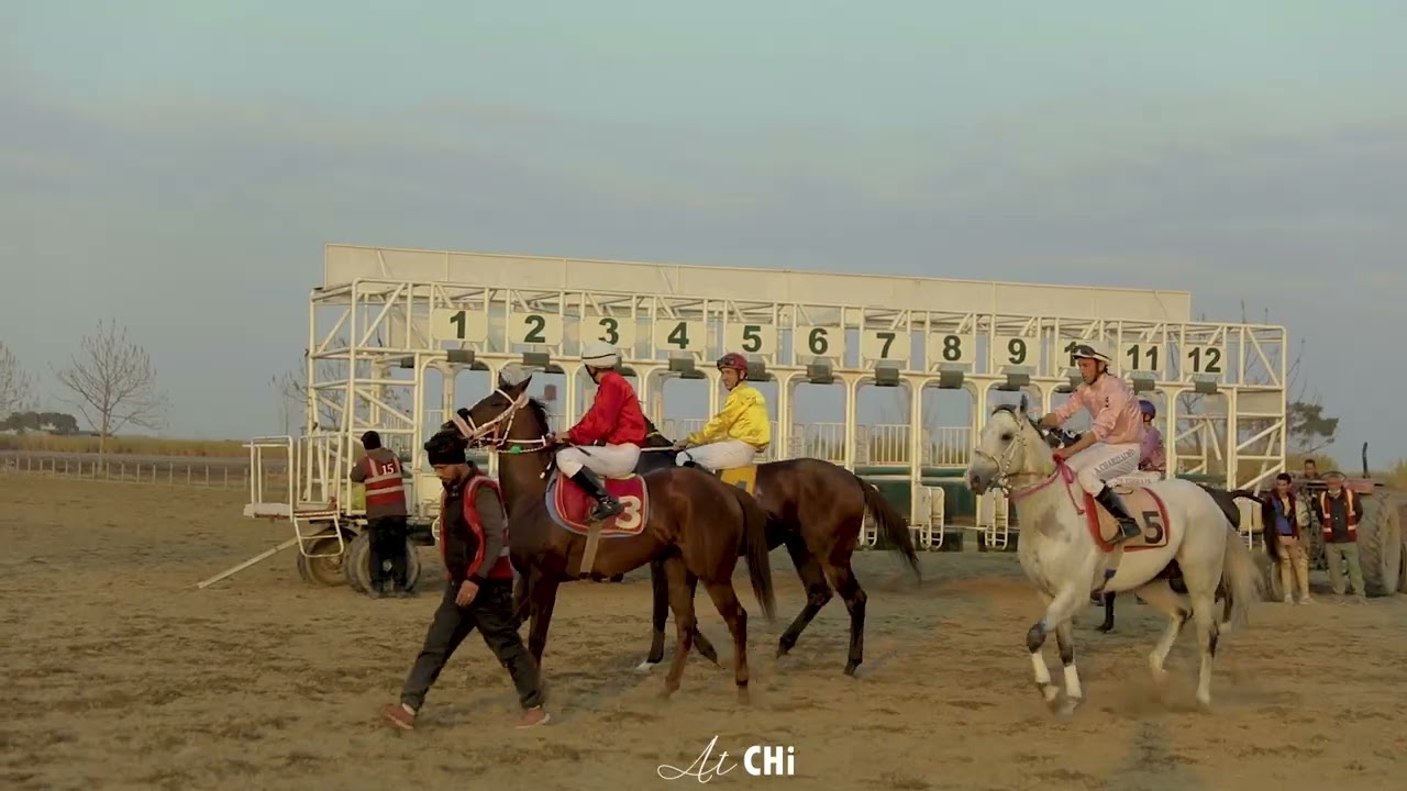 #horse #horseriding #horseracing #اسب #اسب_ترکمن#اوسین_بولت#اسبدوانی #ترکمن_صحرا