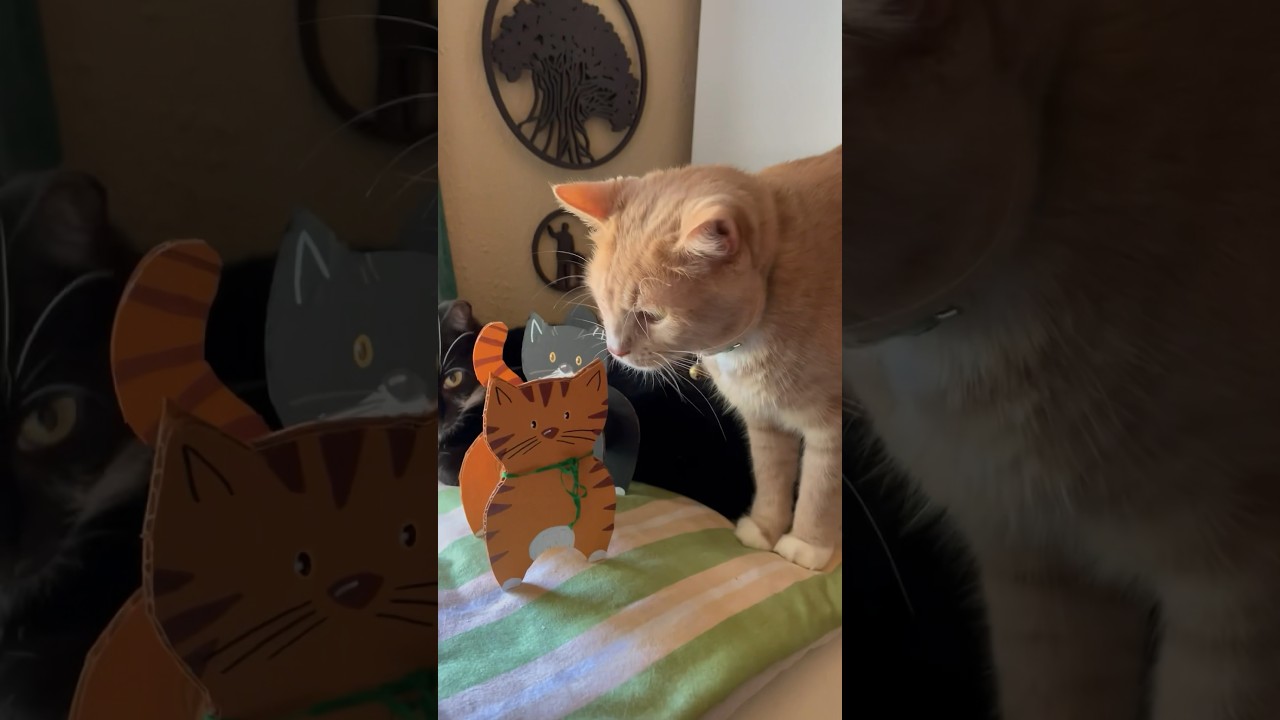 🥹‼️Самая милая поделка, которую вы когда-либо видели 🐈 Искусство создания кота из картона и рулон...