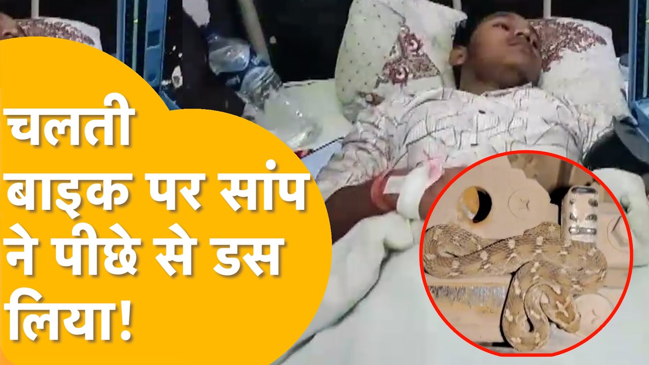 Kota में बाइक की सीट के नीचे से निकला पौने दो फुट का सांप, युवक को डसा, मचा हड़कंप।