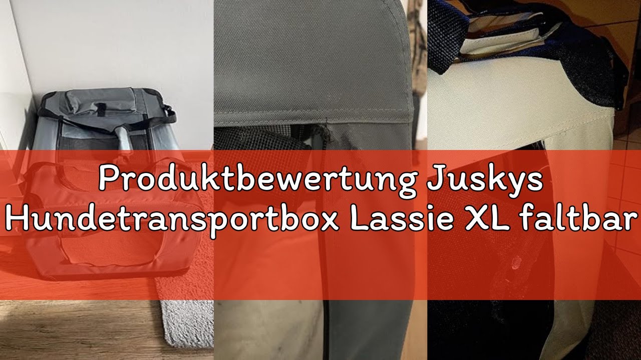 Produktbewertung Juskys Hundetransportbox Lassie XL faltbar & tragbar 56x81x58 cm mit Decke, Tasche