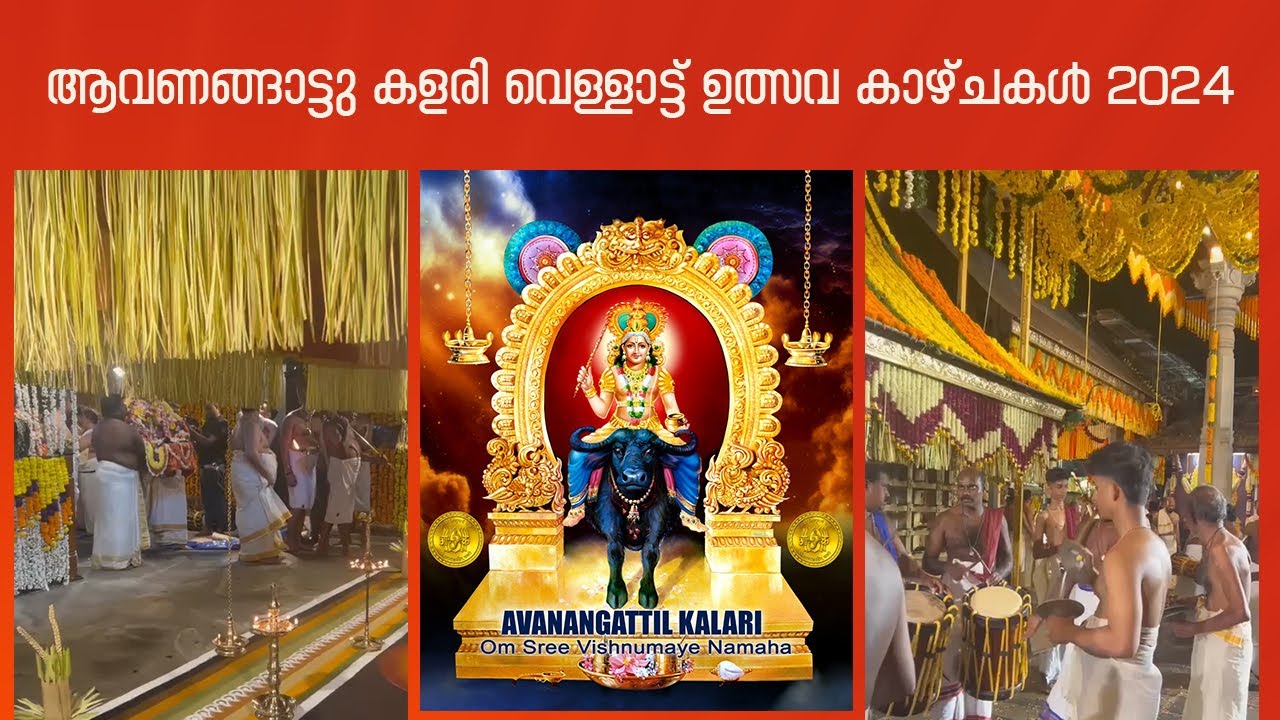 ആവണങ്ങാട്ടു കളരി വെള്ളാട്ട് ഉത്സവ കാഴ്ചകൾ. 2024 | Vishnumaya | Avanagattil kalari