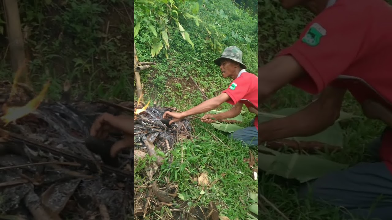 Bakar singkong