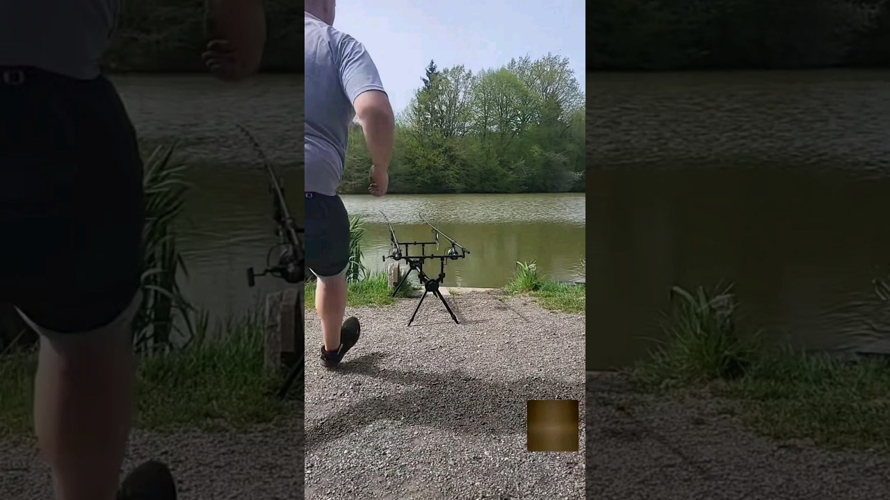 Carpfishing Austria/Europe 2024 #carpfishing #carp #karpfen #angeln #foryou #shimano #fishing #4k