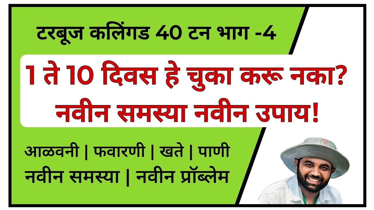 टरबूज /कलिंगड 40 टन भाग -4 | 1 ते 10 दिवस काय नियोजन केले पाहिजे | आळवनी | फवारणी | पाणी | खते |